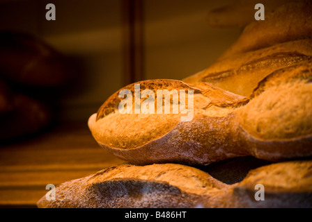 Frische Brot, "La Favorite" sitzen auf einem Regal in der Bäckerei Stockfoto