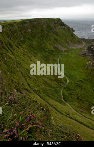Giants Causeway Küste von Antrim-Nordirland-Ulster Stockfoto