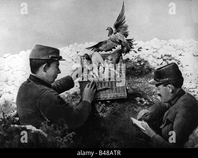 Veranstaltungen, Erster Weltkrieg / erster Weltkrieg, Westfront, französische Soldaten mit Brieftauben, 1914 / 1915, Stockfoto