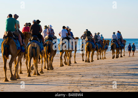 Kamel Züge mit Touristen am Cable Beach Broome Western Australia Stockfoto