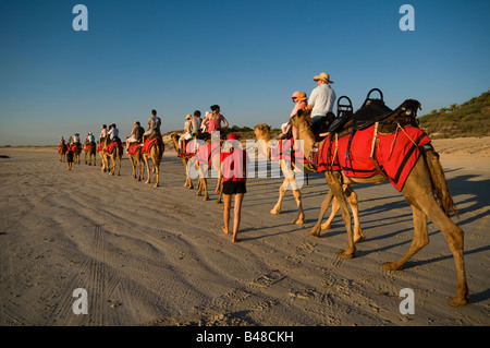 Kamel Züge mit Touristen am Cable Beach Broome Western Australia Stockfoto