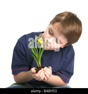 Ein Junge, der eine Narzisse hes Holding in seinen Händen vor einem weißen Hintergrund Schuß Stockfoto