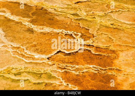 bunte abstrakte Muster in ein Thermalbad in den Geysir-Becken des Yellowstone National Park Stockfoto