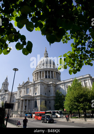 Niedrige Blick auf St. Pauls Kathedrale durch Bäume Stockfoto