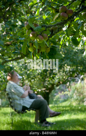 zwei Menschen sitzen auf Bank in die schattigen Apfelplantage in Llanerchaeron Hall Farm und Gärten Wales UK Stockfoto