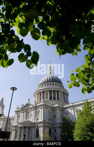 Blick auf St. Pauls Kathedrale durch Bäume Stockfoto