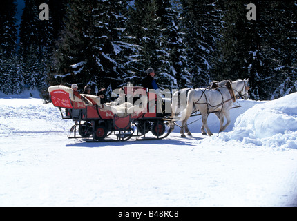 weißes Pferd Zeichnung/ziehen Schlitten mit Menschen am / im Schnee Stockfoto