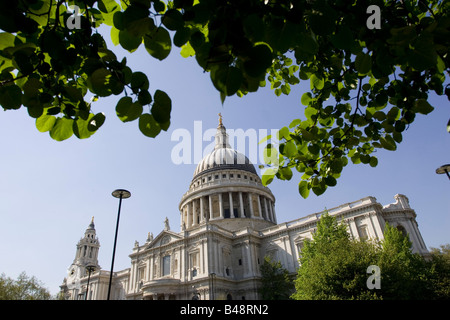 Blick auf St. Pauls Kathedrale durch Bäume Stockfoto