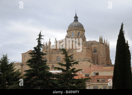 Die Kuppel und Zinnen der spätgotischen Stil neue Kathedrale Catedral Nueva Salamanca Spanien Stockfoto