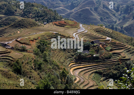Terrassierte Reisfelder außerhalb des Dorfes von Sapa, Vietnam Stockfoto