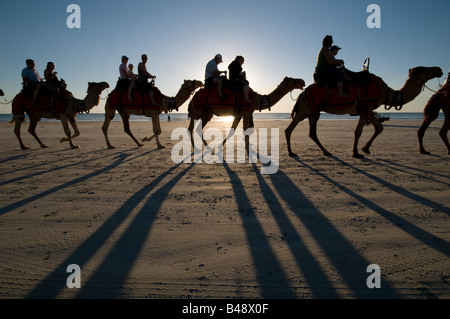 Kamel Züge mit Touristen am Cable Beach Broome Western Australia Stockfoto