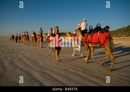 Kamel Züge mit Touristen am Cable Beach Broome Western Australia Stockfoto