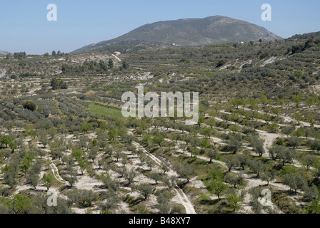 Agrarlandschaft von Berg-Terrassen in der Nähe von Valle de Ceta, Provinz Alicante, Comunidada Valenciana, Quatretondeta, Spanien Stockfoto