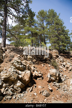 Troodos National Forest Park liegt im Zentrum der Insel etwa eine Autostunde von Limassol Stockfoto