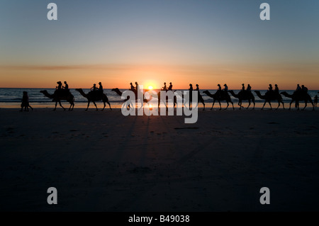 Kamel Züge tragende Touristen bei Sonnenuntergang am Cable Beach in der Nähe von Broome Western Australia Stockfoto