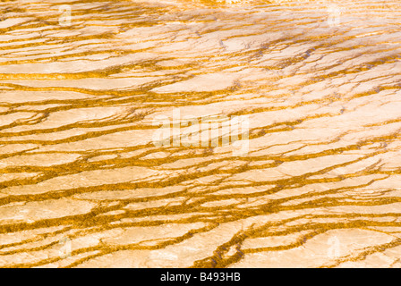 bunte abstrakte Muster in ein Thermalbad in den Geysir-Becken des Yellowstone National Park Stockfoto