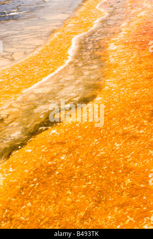 bunte abstrakte Muster in ein Thermalbad in den Geysir-Becken des Yellowstone National Park Stockfoto