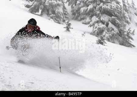 Ein Skifahrer im Tiefschnee mit einem großen Schnee-Spray mit Bäumen im Hintergrund Stockfoto