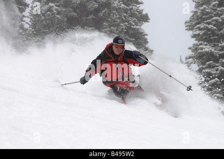Ein Skifahrer machen eine Wende im Tiefschnee vor einer Tribüne von Bäumen und verlassen einen großen Spray Schnee hinter Stockfoto