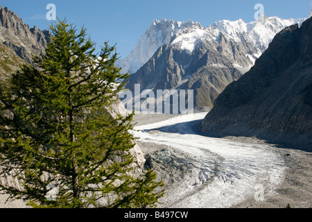 Das Mer de Glace Gletscher von Montenvers, Chamonix Mont-Blanc, französischen Alpen betrachtet. Stockfoto