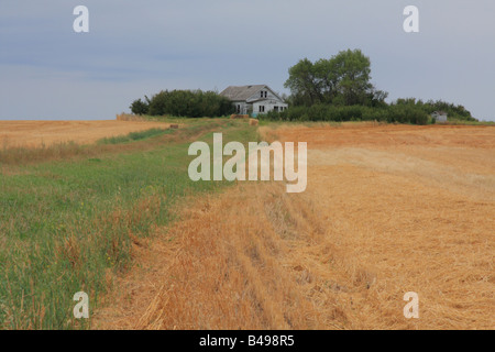 Geernteten Ackerland in der Prärie, Saskatchewan Stockfoto