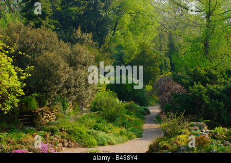 Alpine Garten Bestandteil der Botanische Garten Jardin des Plantes Paris Stockfoto