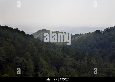 Troodos National Forest Park liegt im Zentrum der Insel etwa eine Autostunde von Limassol Stockfoto