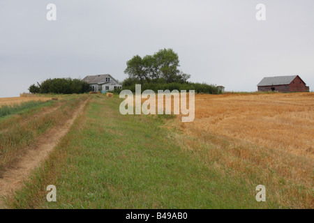 Verlassene Bauernhöfe in der Prärie, Saskatchewan Stockfoto