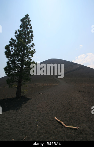 Schlackenkegel im nordöstlichen Teil der Lassen volcanic Nationalpark in Nord-Kalifornien Stockfoto