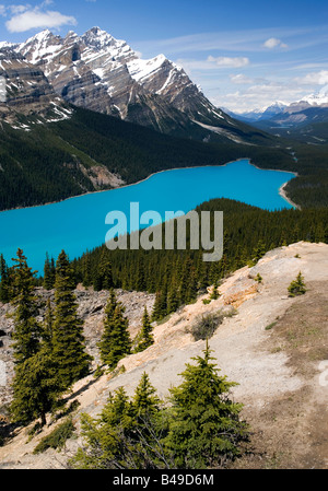 Peyto Lake im Banff Nationalpark, Alberta, Kanada. Stockfoto