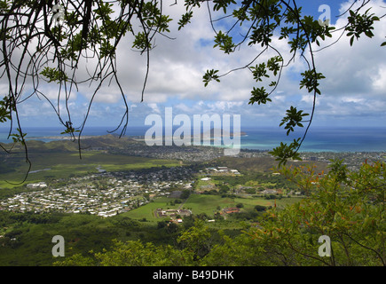 Blick vom Olomana Ridge, Hawaii, Oahu Stockfoto