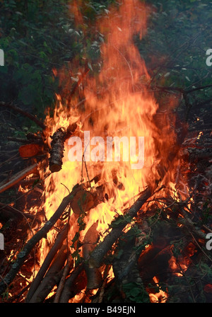 Brennholz brennt in großen Feuer auf Blätter Hintergründe Stockfoto