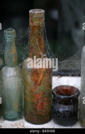 Drei alte Flaschen in Spinnennetzen bedeckt Stand auf einem Felsvorsprung Stockfoto