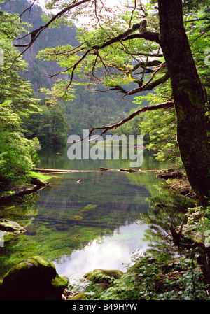 Nationalpark Huerquehue, Chile Stockfoto