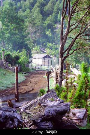 Nationalpark Huerquehue, Chile Stockfoto