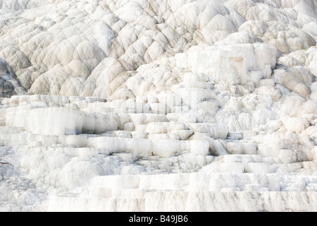 abstrakte Muster auf den Terrassen von Mammoth Hot Springs im Yellowstone-Nationalpark Stockfoto