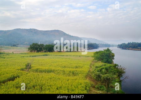 Blick aus dem Zug in Konkan Stockfoto