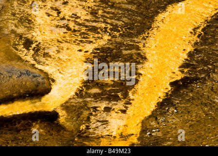 abstrakte Muster in die heißen Thermalquellen im Yellowstone National Park Stockfoto