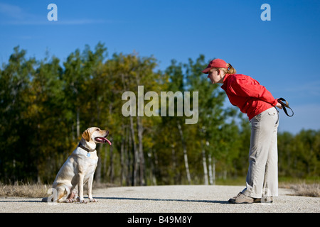 Frau Training gelbe Labrador Retriever Welpen sitzen. Stockfoto