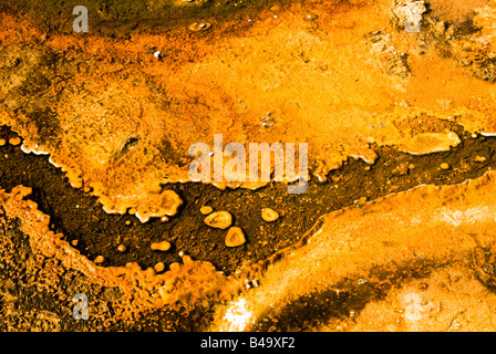 bunte abstrakte Muster in ein Thermalbad in den Geysir-Becken des Yellowstone National Park Stockfoto