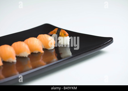 Goldfische als Nigiri Sushi, platziert mit Reihe von Lachs Nigiri Sushi zubereitet Stockfoto