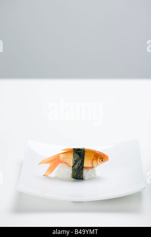 Goldfische als Nigiri Sushi auf kleine Sushi-Platte gelegt Stockfoto