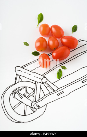 Roma-Tomaten und Basilikum Blätter auf Zeichnung der Warenkorb Stockfoto