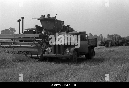 Geografie/Reisen, Deutschland, Demokratische Republik Deutschland, Landwirtschaft, Ernte, Bezirk Leipzig, 1967, Stockfoto