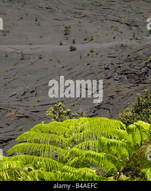 Kilauea-Iki-Krater Stockfoto
