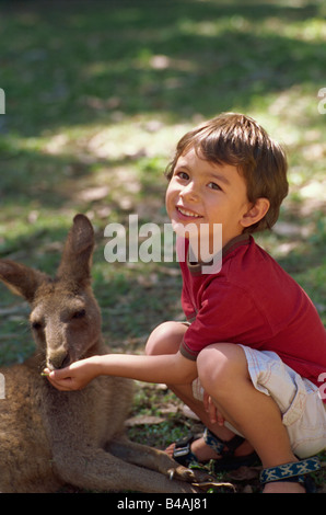 Currumbin Sanctuary, junge und Känguru Stockfoto