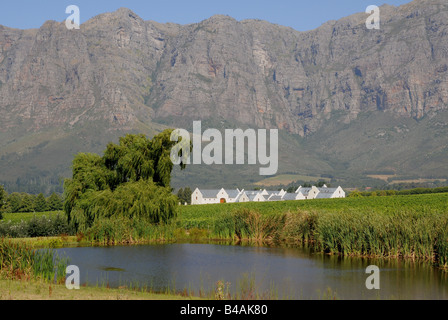 Geographie/Reisen, Südafrika, Landschaften, Blick Richtung Hauptgebäude der Weingut' dem Zorgvliet" zwischen Stellenbosch und Franschhoek auf der Weinstraße, Additional-Rights - Clearance-Info - Not-Available Stockfoto