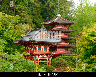 Japanese Tea Gardens Golden Gate Park Stockfoto