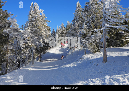 Skipisten, Poiana Brasov Stockfoto