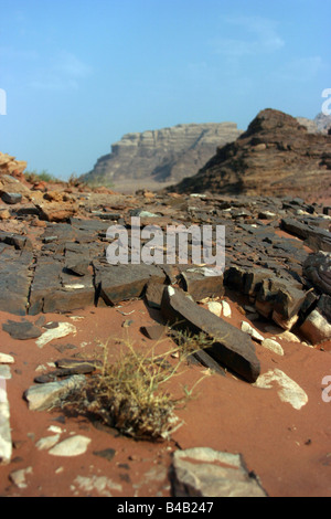 Wadi Rum, Jordanien Stockfoto